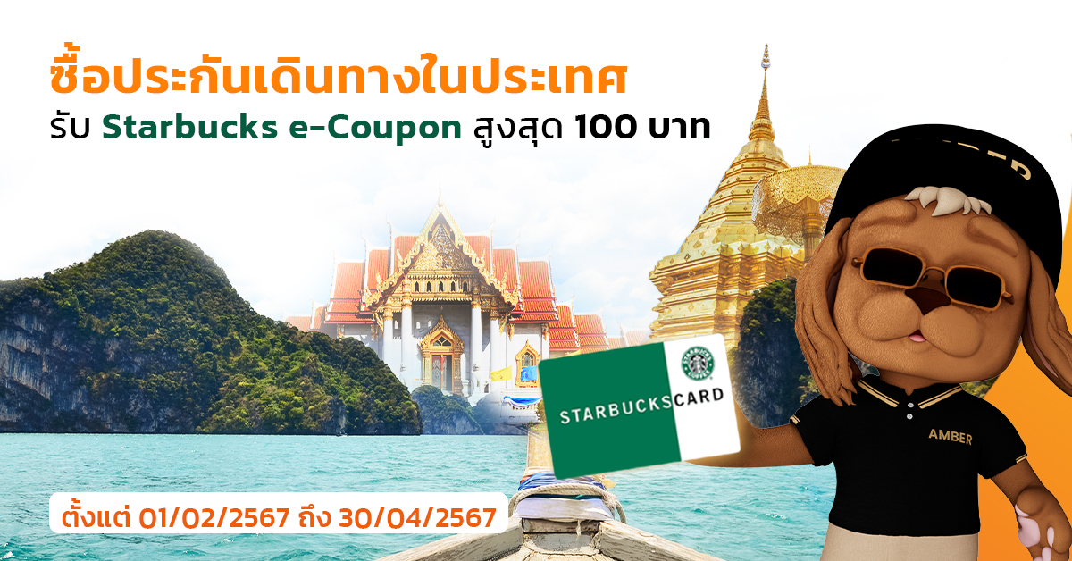 ซื้อประกันเดินทางในประเทศ
