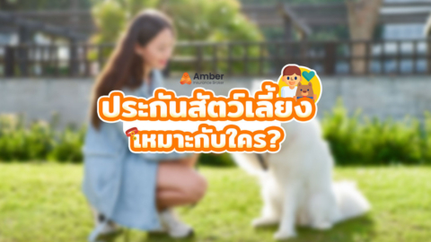 ประกันสัตว์เลี้ยง เหมาะกับใคร?