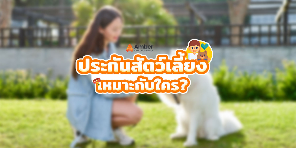 ประกันสัตว์เลี้ยง เหมาะกับใคร?