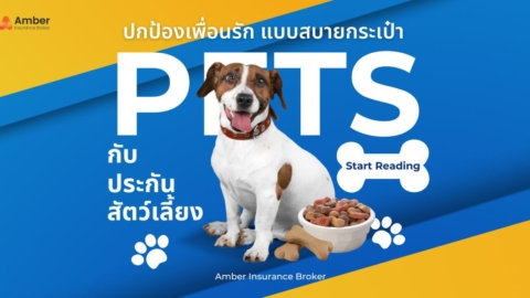 ปกป้องเพื่อนรัก แบบสบายกระเป๋า กับประกันสัตว์เลี้ยง