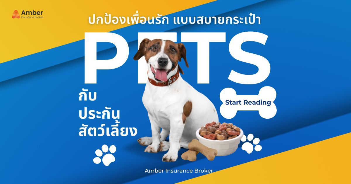 ปกป้องเพื่อนรัก แบบสบายกระเป๋า กับประกันสัตว์เลี้ยง